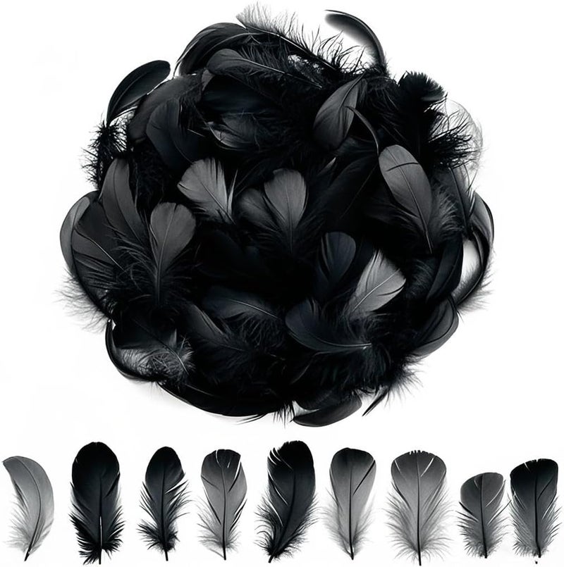 Lamar Feather 300pcs Black Feathers 2-3 Inches Bulk Feathers for Crafting, Dream Catcher Accessories, Art Projects, DIY Crafting, Handi Crafts, Party Decoration (Black) - Image 1